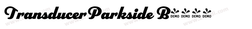 TransducerParkside B字体转换